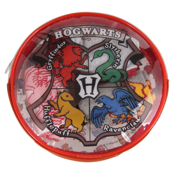 4PACK tüdrukute aluspesukomplekt Cerdá Harry Potter mitmevärviline (2200007424)