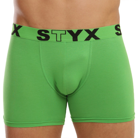 Meeste bokserid Styx pikk sport elastne roheline (U1069)