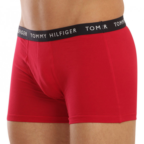 3PACK meeste bokserid Tommy Hilfiger mitmevärviline (UM0UM02203 0XI)