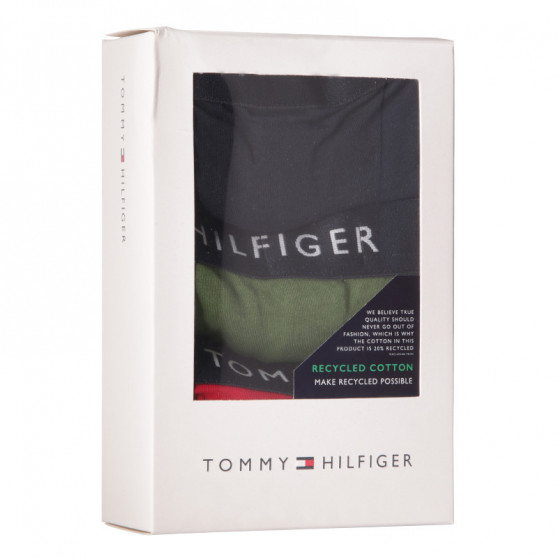 3PACK meeste bokserid Tommy Hilfiger mitmevärviline (UM0UM02203 0XI)