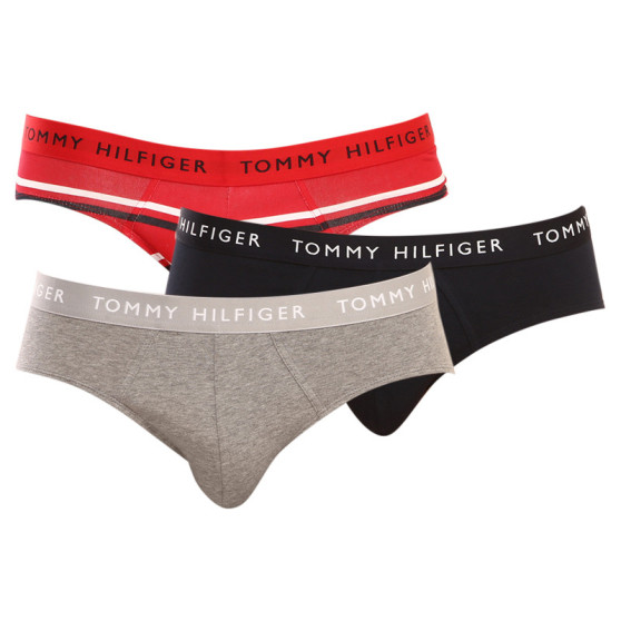 3PACK meeste aluspüksid Tommy Hilfiger mitmevärvilised (UM0UM02328 0AH)