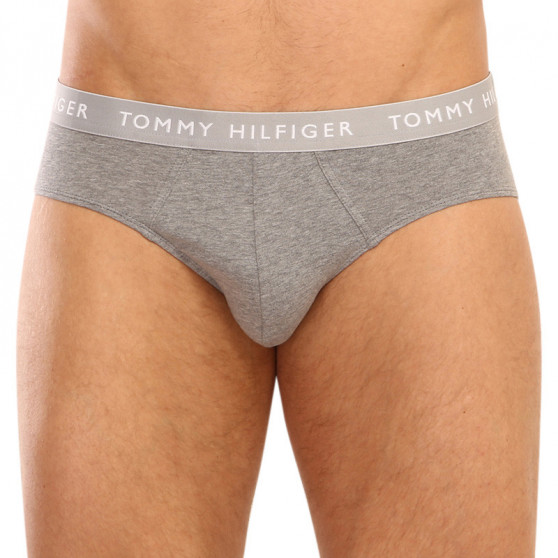 3PACK meeste aluspüksid Tommy Hilfiger mitmevärvilised (UM0UM02328 0AH)