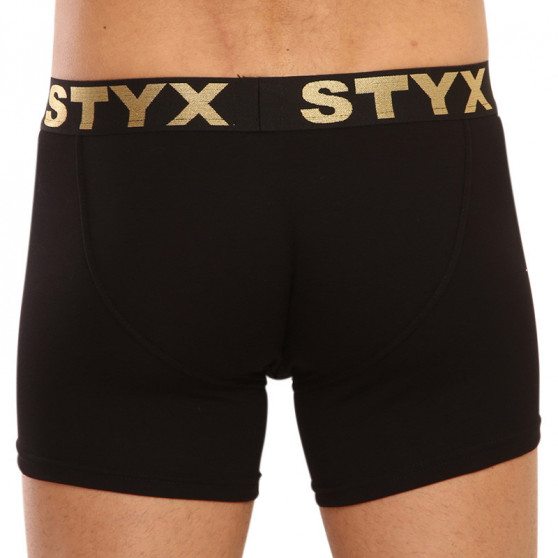 Meeste bokserid Styx / KTV long sport elastic black - must elastne - must elastne (UTC960)