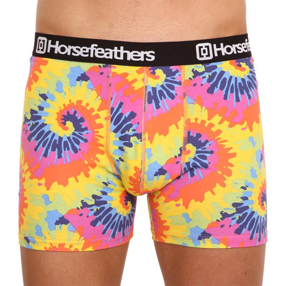 Meeste bokserid Horsefeathers Sidney Tie dye (AM164D)