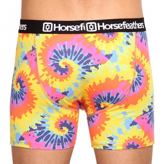 Meeste bokserid Horsefeathers Sidney Tie dye (AM164D)