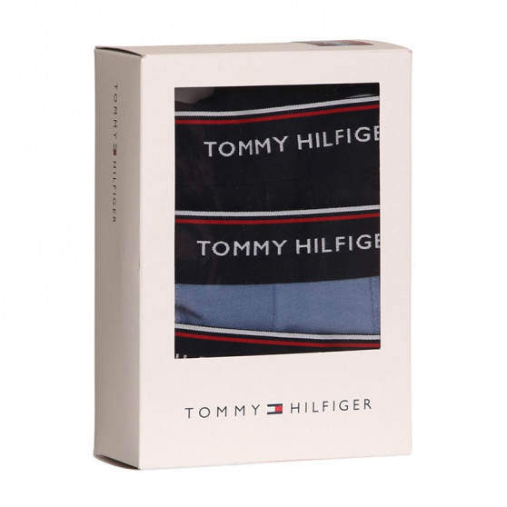 3PACK meeste bokserid Tommy Hilfiger mitmevärviline (1U87903842 0TU)