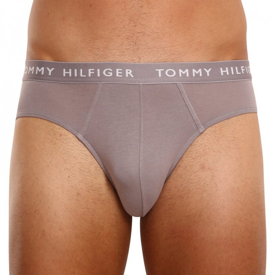 3PACK meeste aluspüksid Tommy Hilfiger mitmevärvilised (UM0UM02206 0TG)