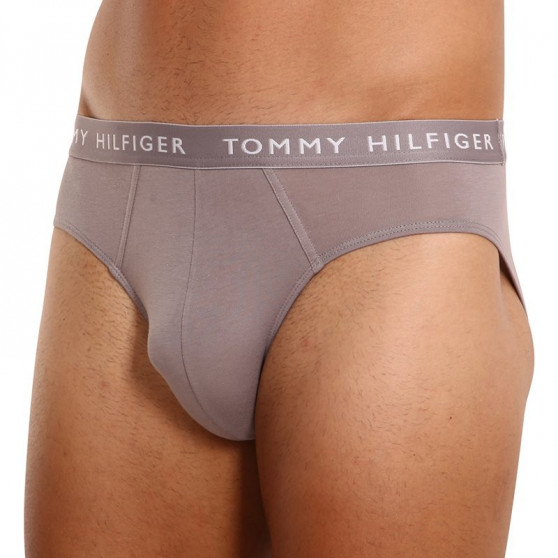 3PACK meeste aluspüksid Tommy Hilfiger mitmevärvilised (UM0UM02206 0TG)