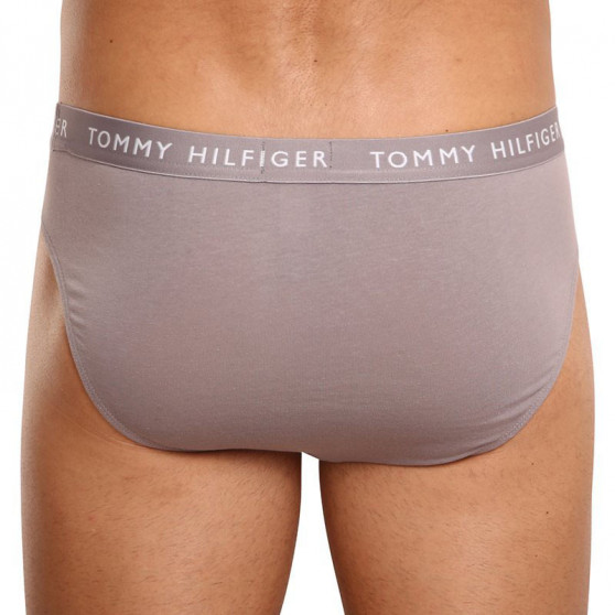 3PACK meeste aluspüksid Tommy Hilfiger mitmevärvilised (UM0UM02206 0TG)