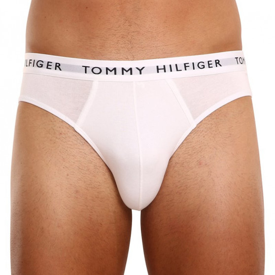 3PACK meeste aluspüksid Tommy Hilfiger mitmevärvilised (UM0UM02206 0TG)