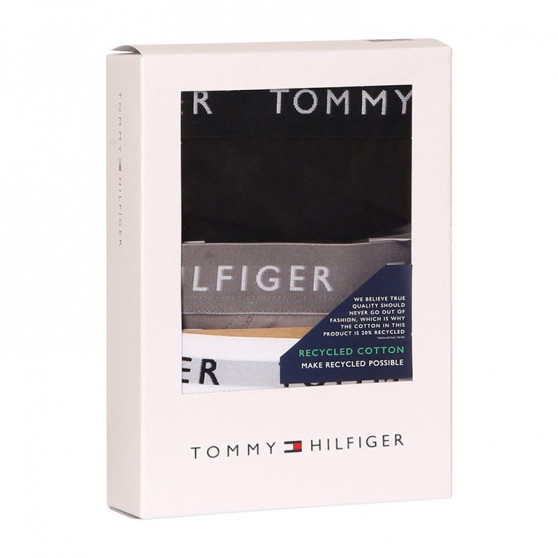 3PACK meeste aluspüksid Tommy Hilfiger mitmevärvilised (UM0UM02206 0TG)