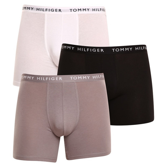 3PACK meeste bokserid Tommy Hilfiger mitmevärviline (UM0UM02204 0TG)