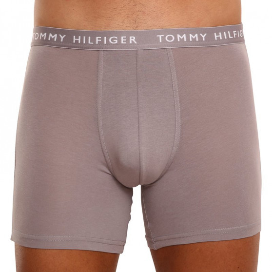 3PACK meeste bokserid Tommy Hilfiger mitmevärviline (UM0UM02204 0TG)