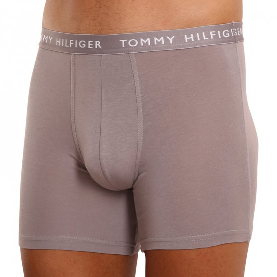 3PACK meeste bokserid Tommy Hilfiger mitmevärviline (UM0UM02204 0TG)