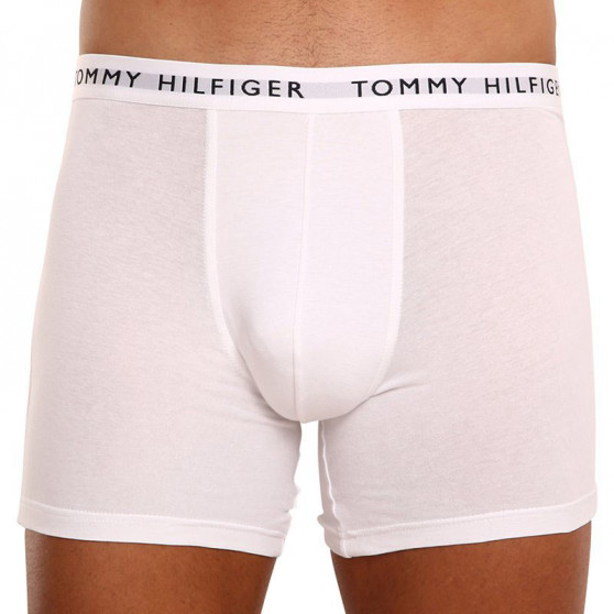 3PACK meeste bokserid Tommy Hilfiger mitmevärviline (UM0UM02204 0TG)