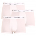 3PACK meeste bokserid Calvin Klein valge (U2664G-100)