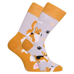 Happy Socks Dedoles koer Corgi (GMRS241)