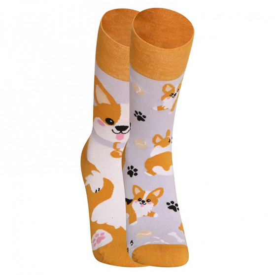 Happy Socks Dedoles koer Corgi (GMRS241)