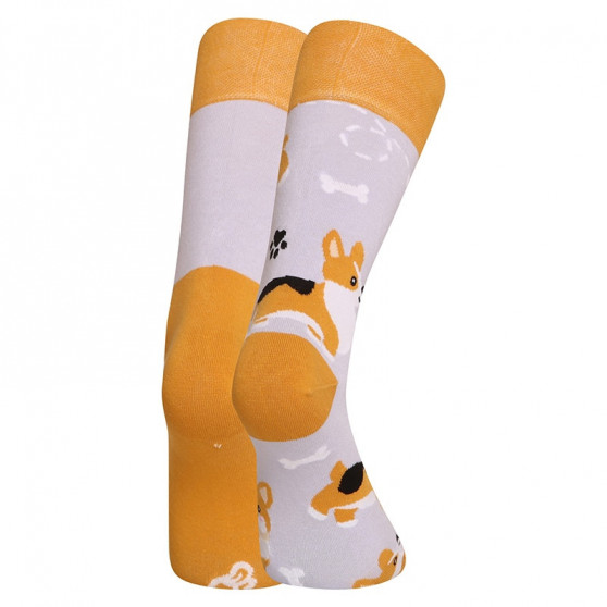 Happy Socks Dedoles koer Corgi (GMRS241)