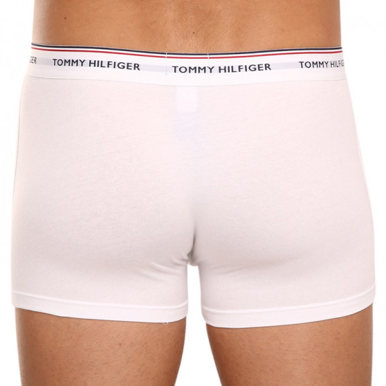 3PACK meeste bokserid Tommy Hilfiger mitmevärviline (1U87903842 004)