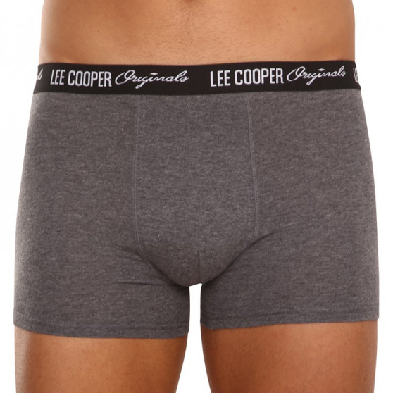 10PACK meeste bokserid Lee Cooper mitmevärviline (LCUBOX10P0102-1440169)