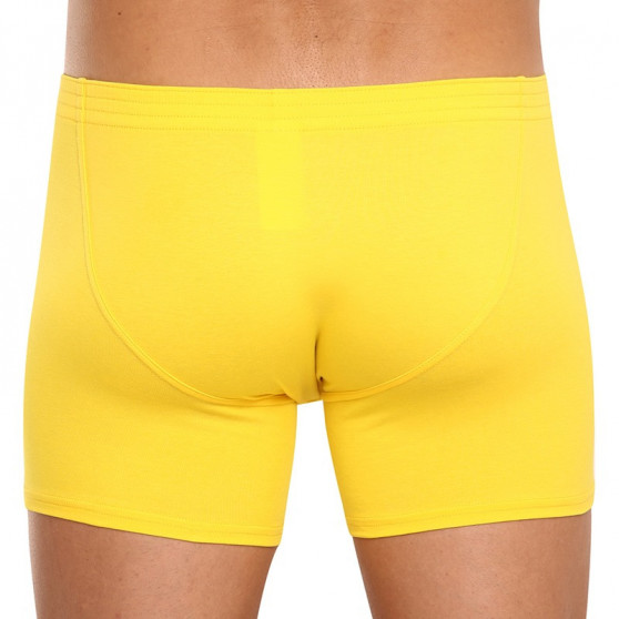 Meeste bokserid Styx long classic elastic yellow (F1068)