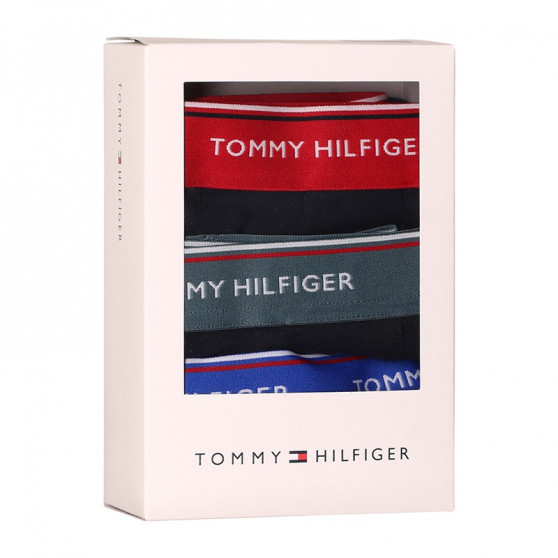 3PACK meeste bokserid Tommy Hilfiger tumesinine (UM0UM01642 0SN)