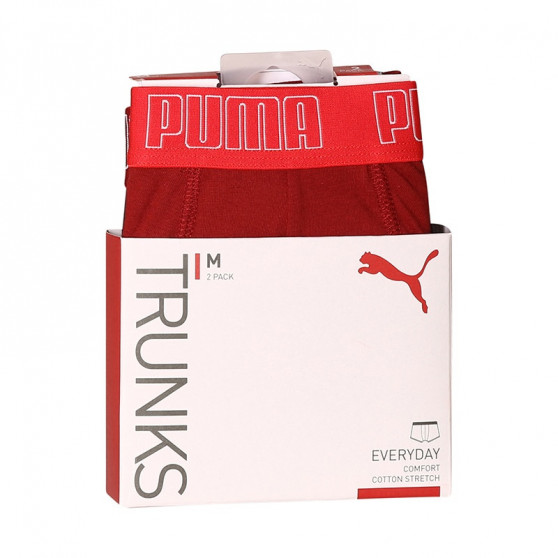 2PACK meeste bokserid Puma mitmevärviline (100000884 045)