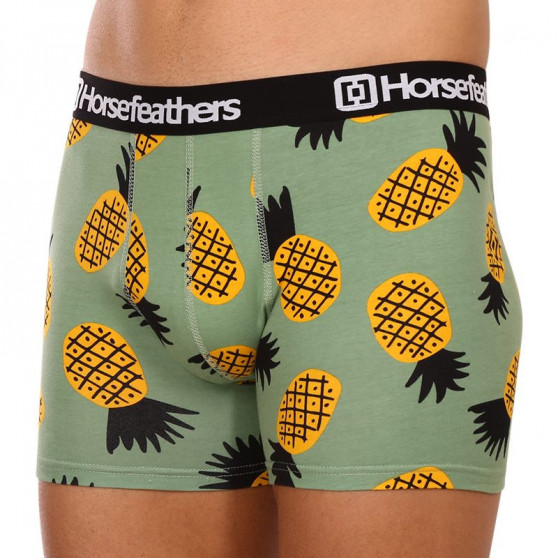 Meeste bokserid Horsefeathers Sidney Pineapple (AM164G)