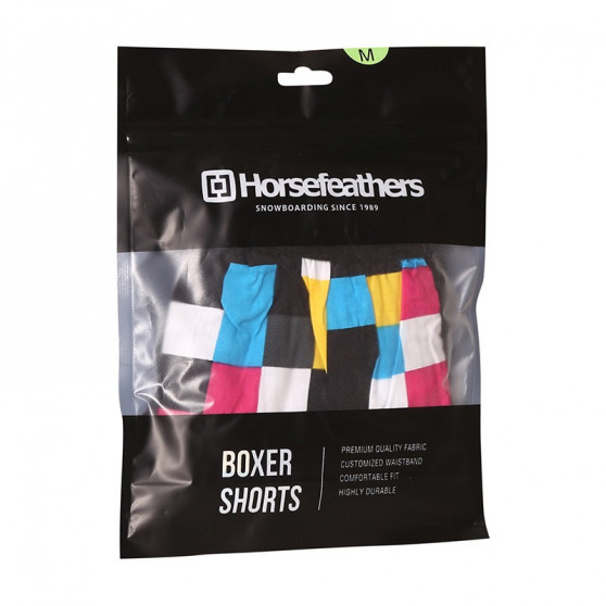 Meeste bokserid Horsefeathers Frazier Cmyk chek (AM166E)