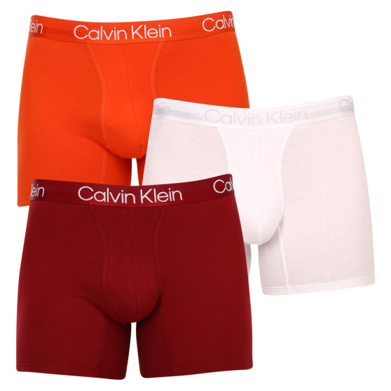 3PACK meeste bokserid Calvin Klein mitmevärviline (NB2971A-6IN)