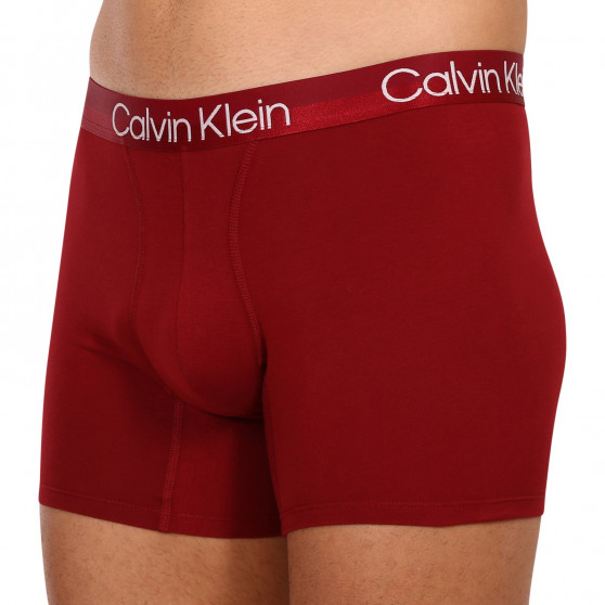 3PACK meeste bokserid Calvin Klein mitmevärviline (NB2971A-6IN)