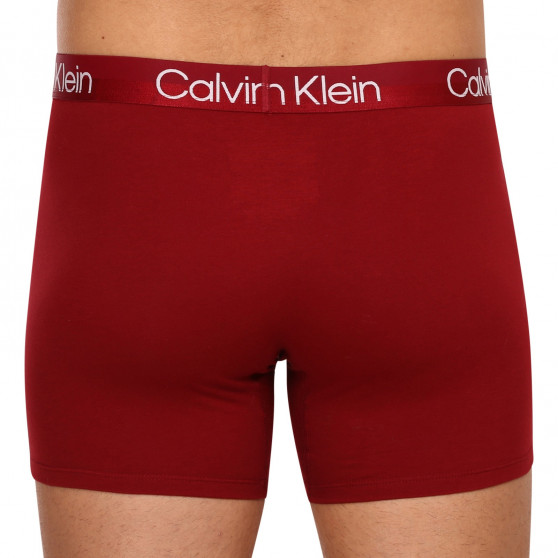 3PACK meeste bokserid Calvin Klein mitmevärviline (NB2971A-6IN)