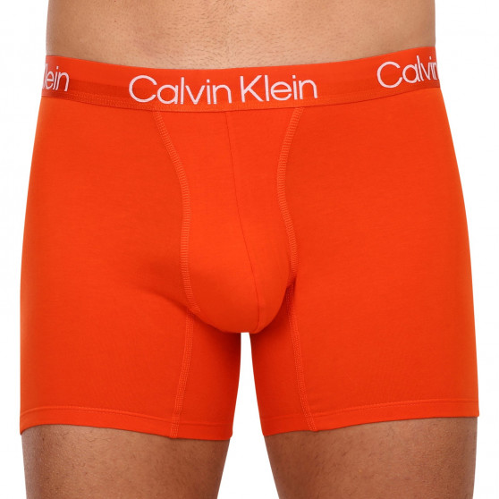 3PACK meeste bokserid Calvin Klein mitmevärviline (NB2971A-6IN)