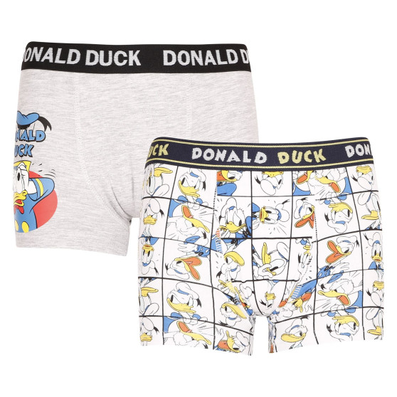 2PACK poiste bokserid E plus M Donald Duck mitmevärviline (52 33 8653/9729)