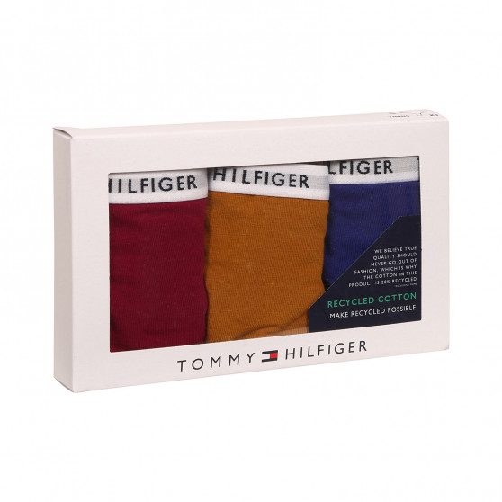 3PACK naiste stringid Tommy Hilfiger mitmevärvilised (UW0UW02829 0XH)