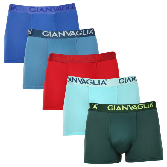 5PACK meeste bokserid Gianvaglia mitmevärviline (GVG-5006)