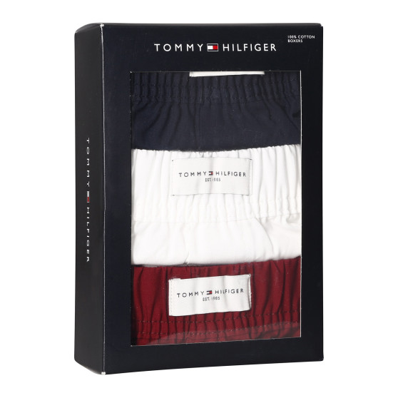 3PACK meeste bokserid Tommy Hilfiger mitmevärviline (UM0UM02848 0WE)