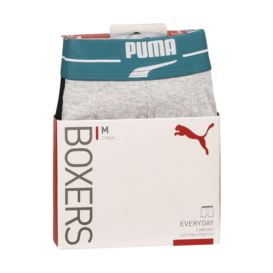 2PACK meeste bokserid Puma mitmevärviline (701221415 004)