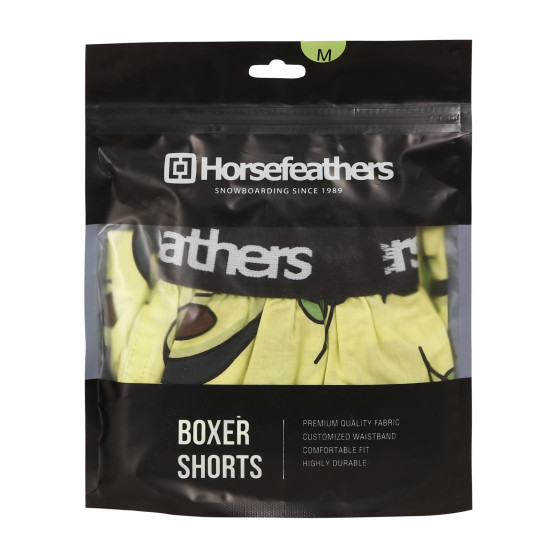 Meeste bokserid Horsefeathers Frazier Avocado (AM166H)