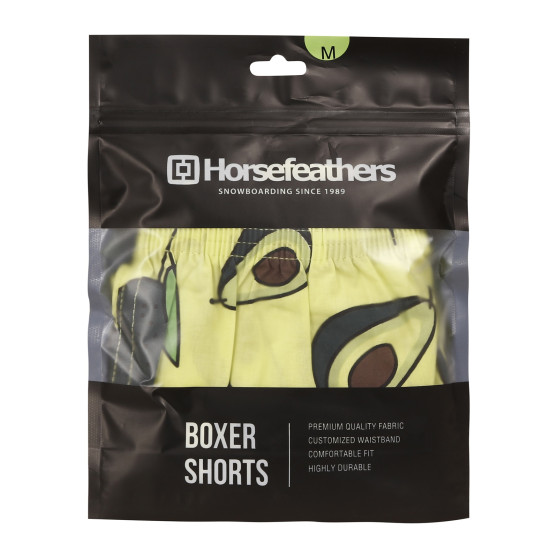 Meeste bokserid Horsefeathers Manny Avocado (AM167G)