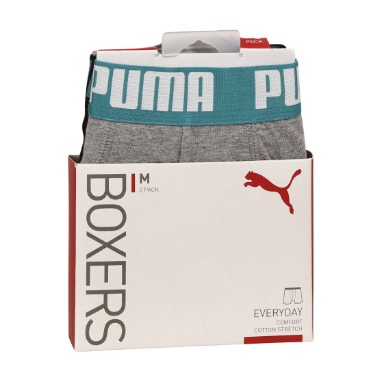 2PACK meeste bokserid Puma mitmevärviline (521015001 047)