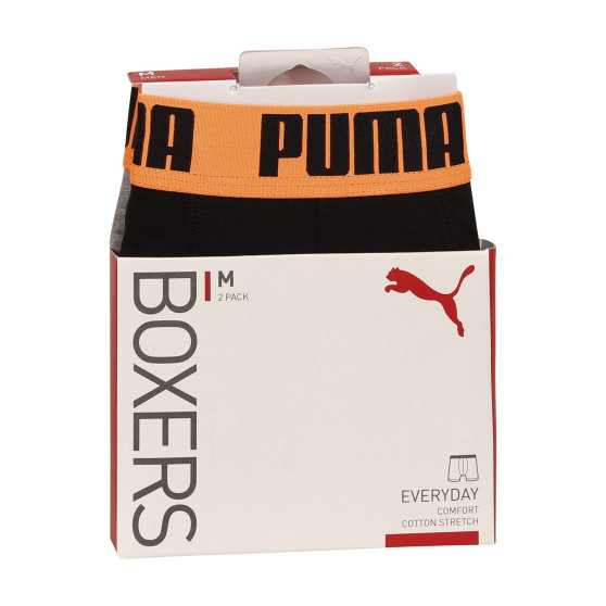 2PACK meeste bokserid Puma mitmevärviline (521015001 050)