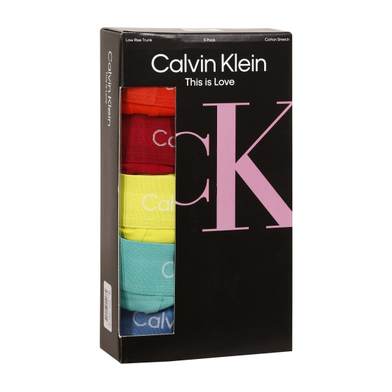 5PACK meeste bokserid Calvin Klein mitmevärviline (NB1348A-BNG)