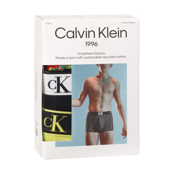 3PACK meeste bokserid Calvin Klein mitmevärviline (NB3528A-DY0)