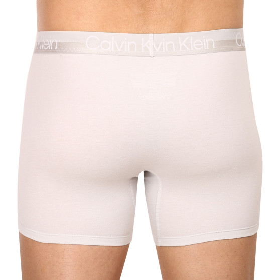 3PACK meeste bokserid Calvin Klein mitmevärviline (NB2971A-CBC)