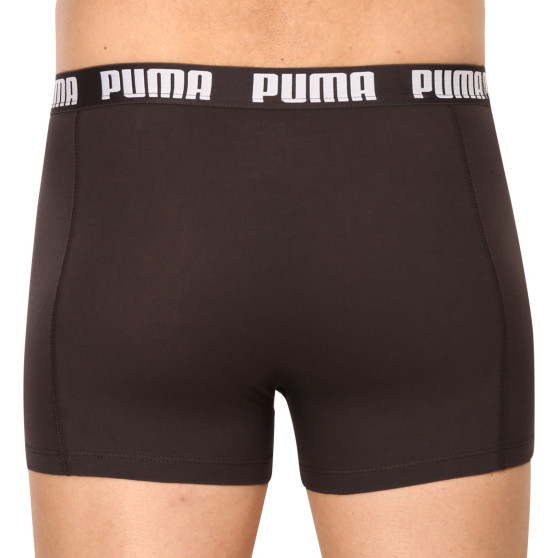 3PACK meeste bokserid Puma mitmevärviline (701206546 004)