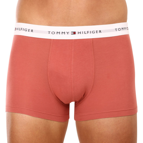 3PACK meeste bokserid Tommy Hilfiger mitmevärviline (UM0UM02761 0TF)