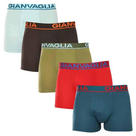 5PACK meeste bokserid Gianvaglia mitmevärviline (GVG-5009)