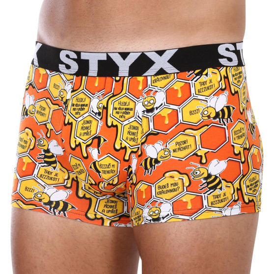 Meeste bokserid Styx art sports rubber oversized mesilased (R1654)